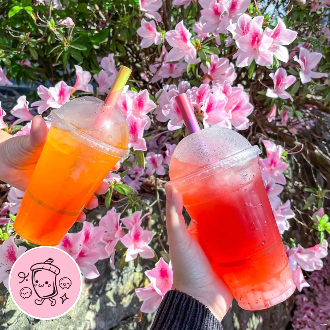Bubble Tea Drinks